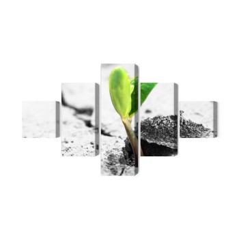 Mehrteiliges Bild 3D-Pflanzenkeimung
