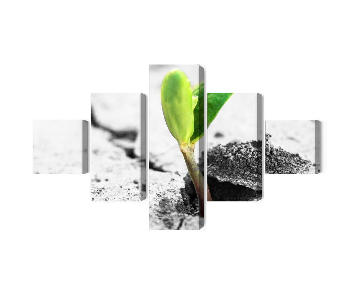 Mehrteiliges Bild 3D-Pflanzenkeimung
