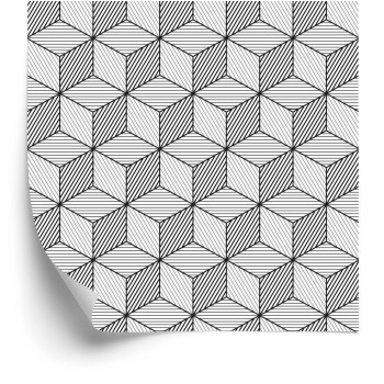 Tapete Geometrisch-Schwarz-Weiße Kuben