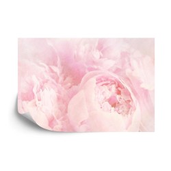 Fototapete Schöne Blüten Verblichenes Vintages Rosa