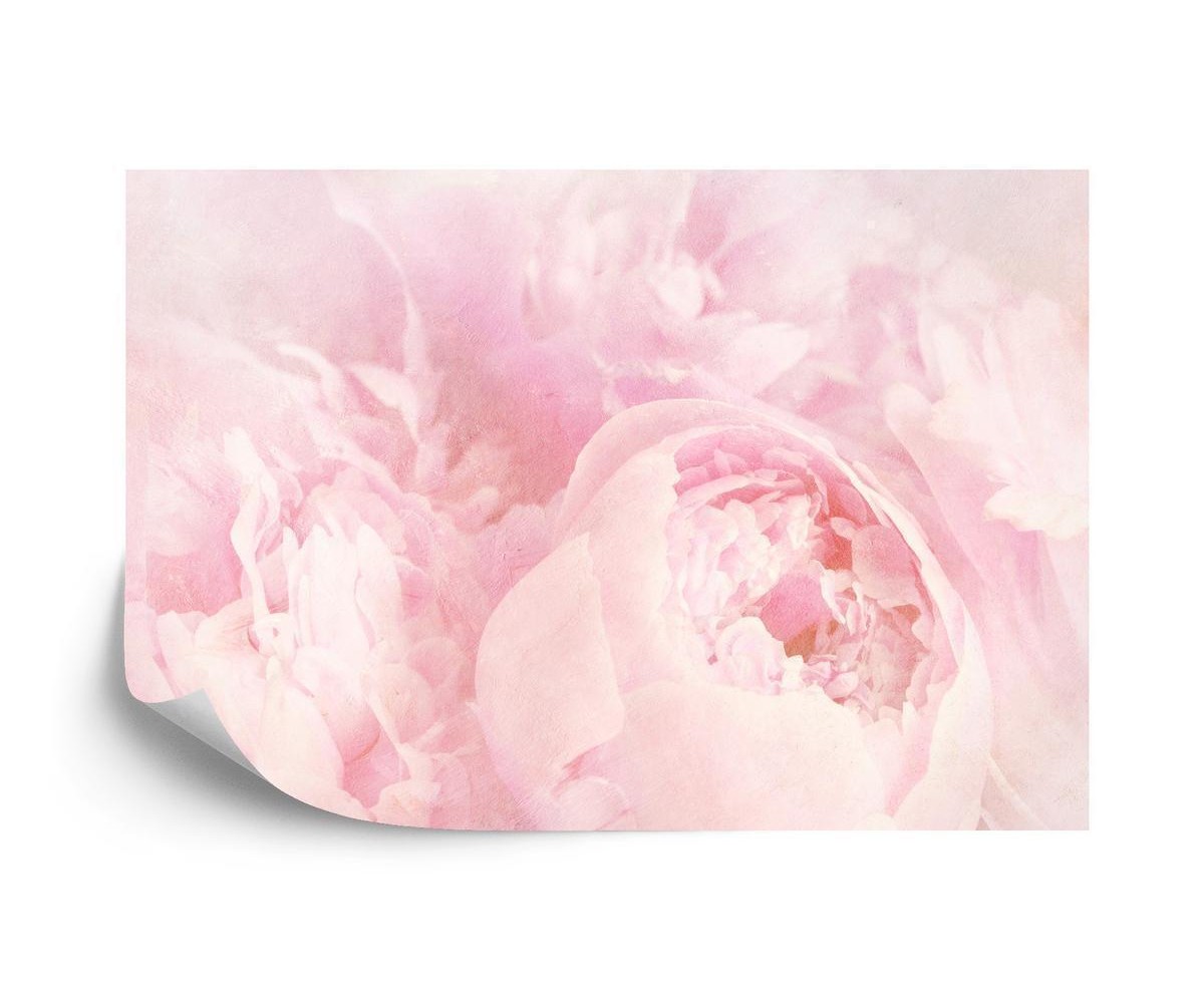 Fototapete Schöne Blüten Verblichenes Vintages Rosa