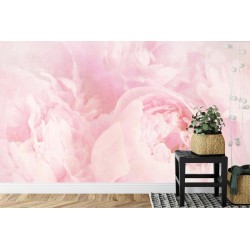 Fototapete Schöne Blüten Verblichenes Vintages Rosa