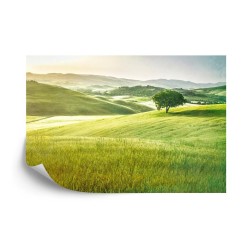 Fototapete Rolling Hills Verblasste Vintage
