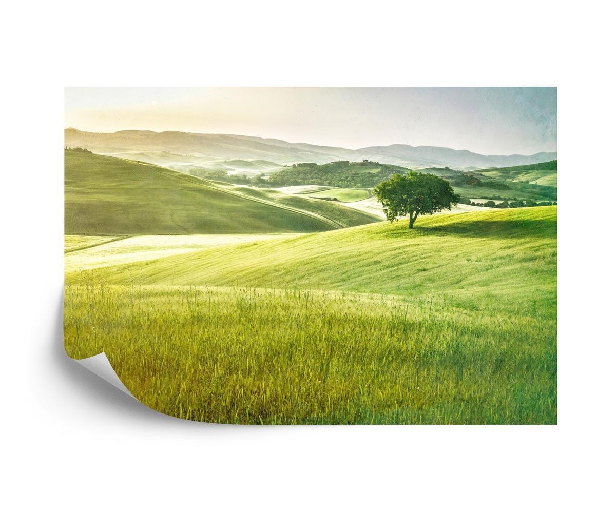 Fototapete Rolling Hills Verblasste Vintage