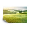 Fototapete Rolling Hills Verblasste Vintage