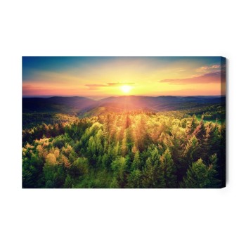 Leinwandbild Sonnenuntergang Über Forest Hills