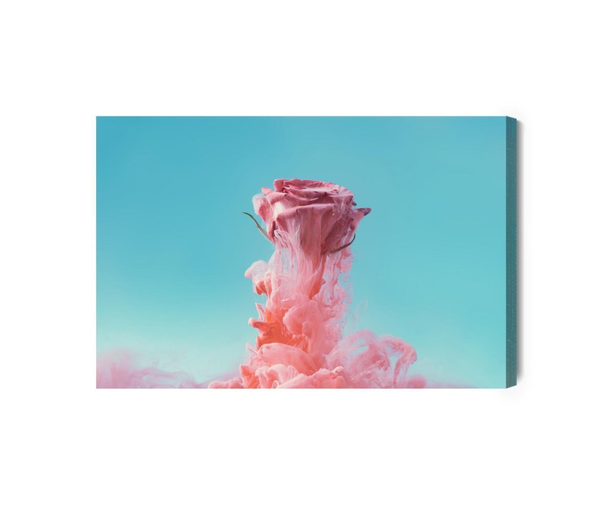 Leinwandbild Wunderschöne Rose