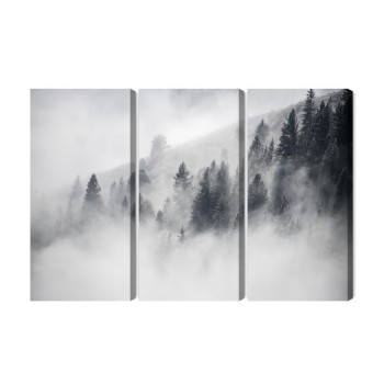 Mehrteiliges Bild Der Wald Ist In Nebel Gehüllt