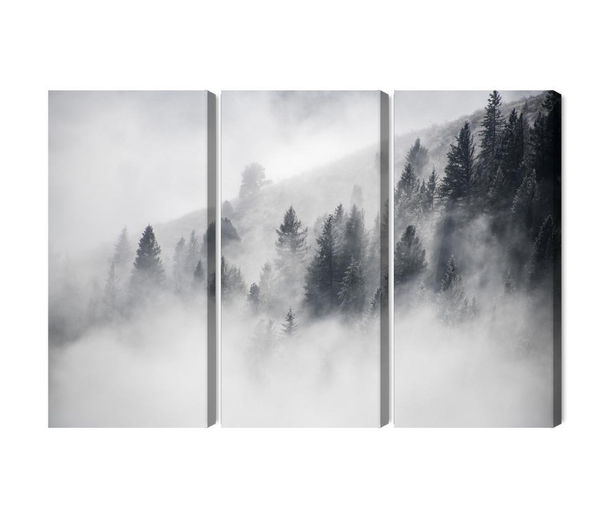 Mehrteiliges Bild Der Wald Ist In Nebel Gehüllt