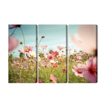 Mehrteiliges Bild Kosmosblumen Im Garten