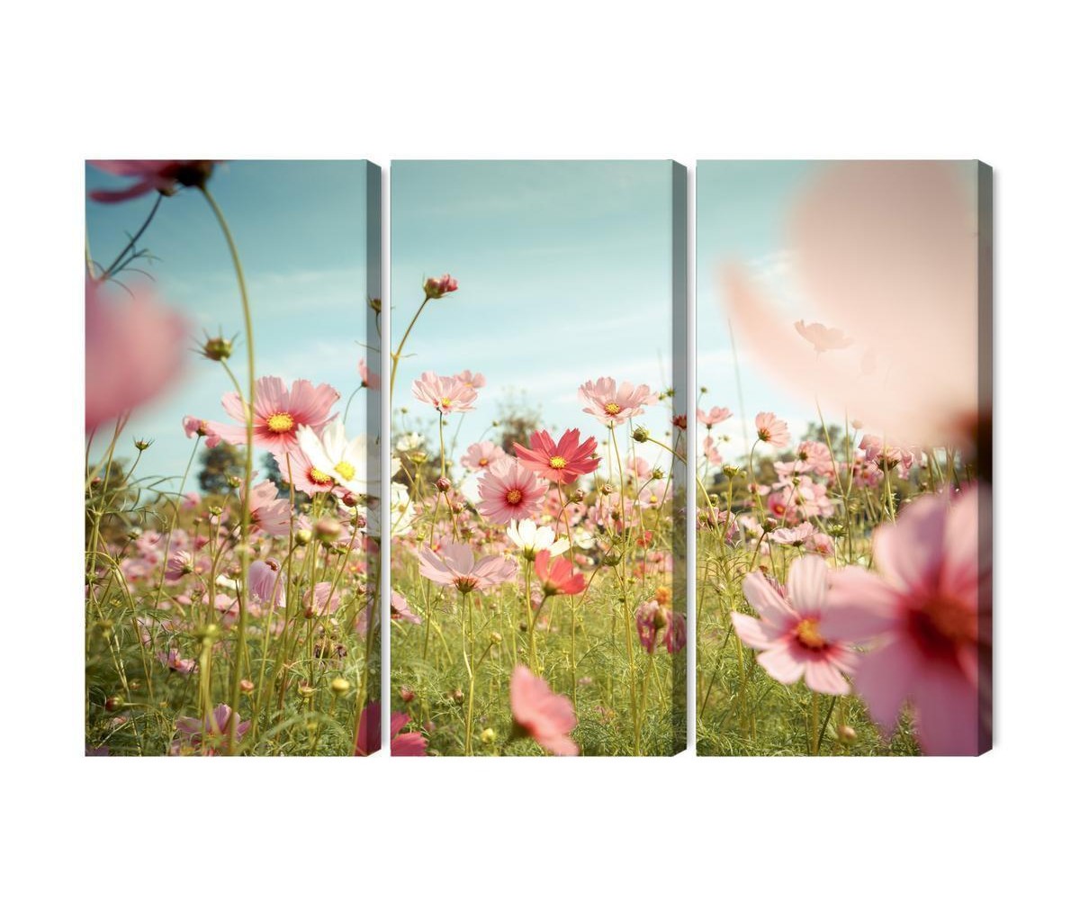 Mehrteiliges Bild Kosmosblumen Im Garten