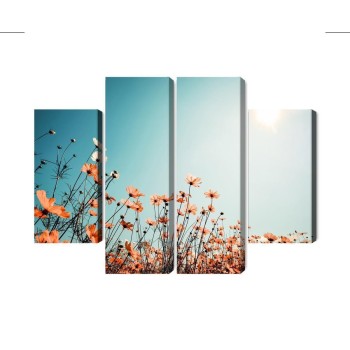 Mehrteiliges Bild Feldblumen In Der Sonne