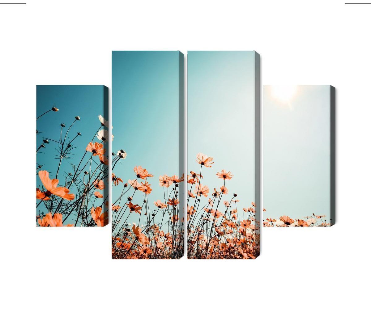 Mehrteiliges Bild Feldblumen In Der Sonne