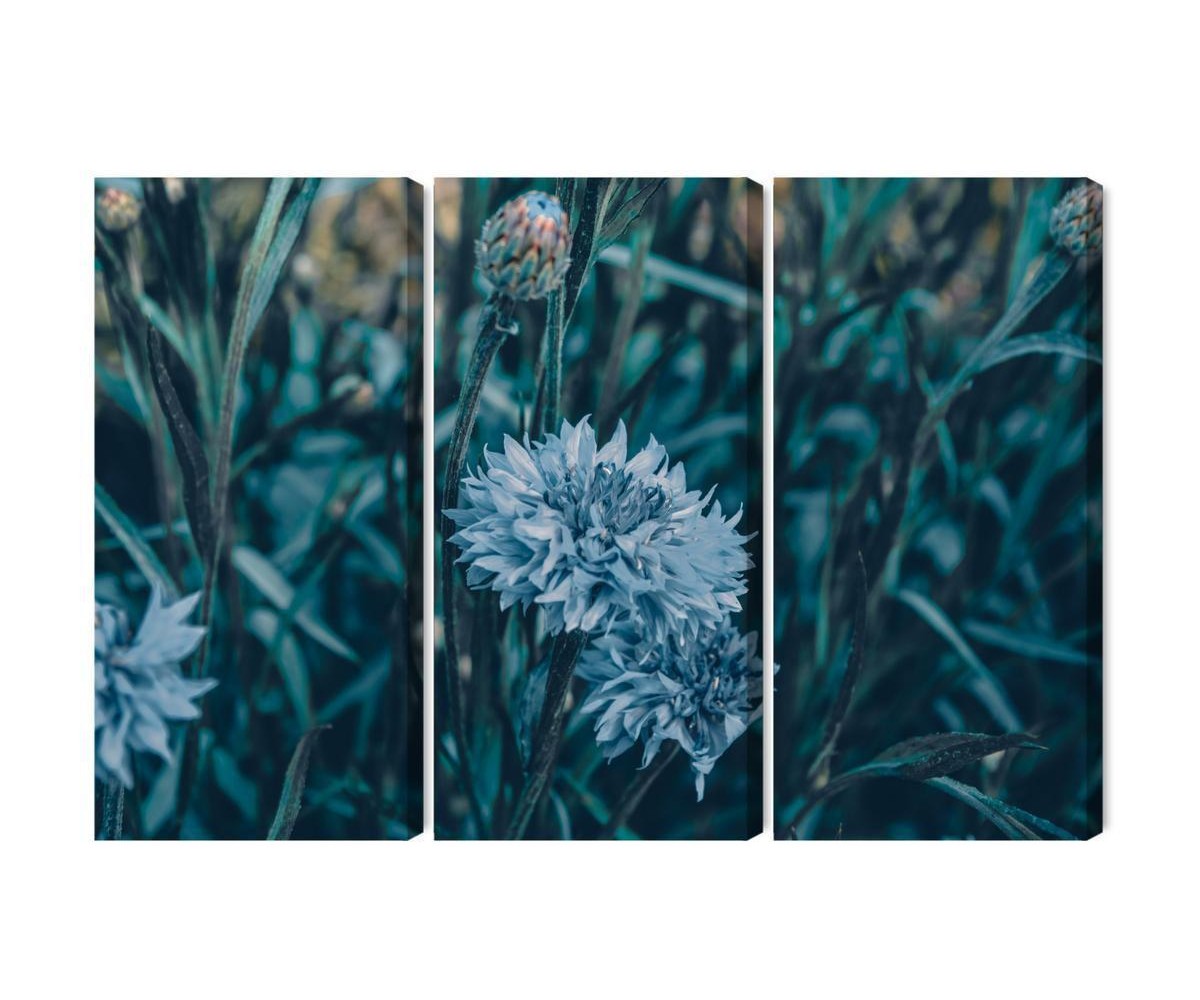 Mehrteiliges Bild Kornblumen Auf Der Wiese 3D
