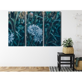 Mehrteiliges Bild Kornblumen Auf Der Wiese 3D