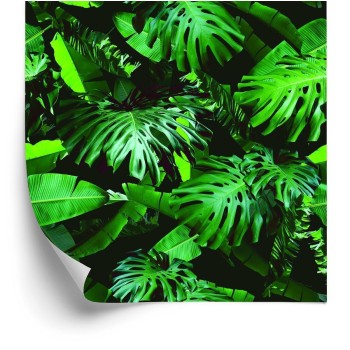 Tapete Grüne Blätter Modern