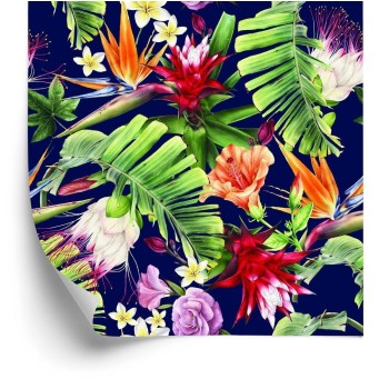 Tapete Verschiedene Blumen