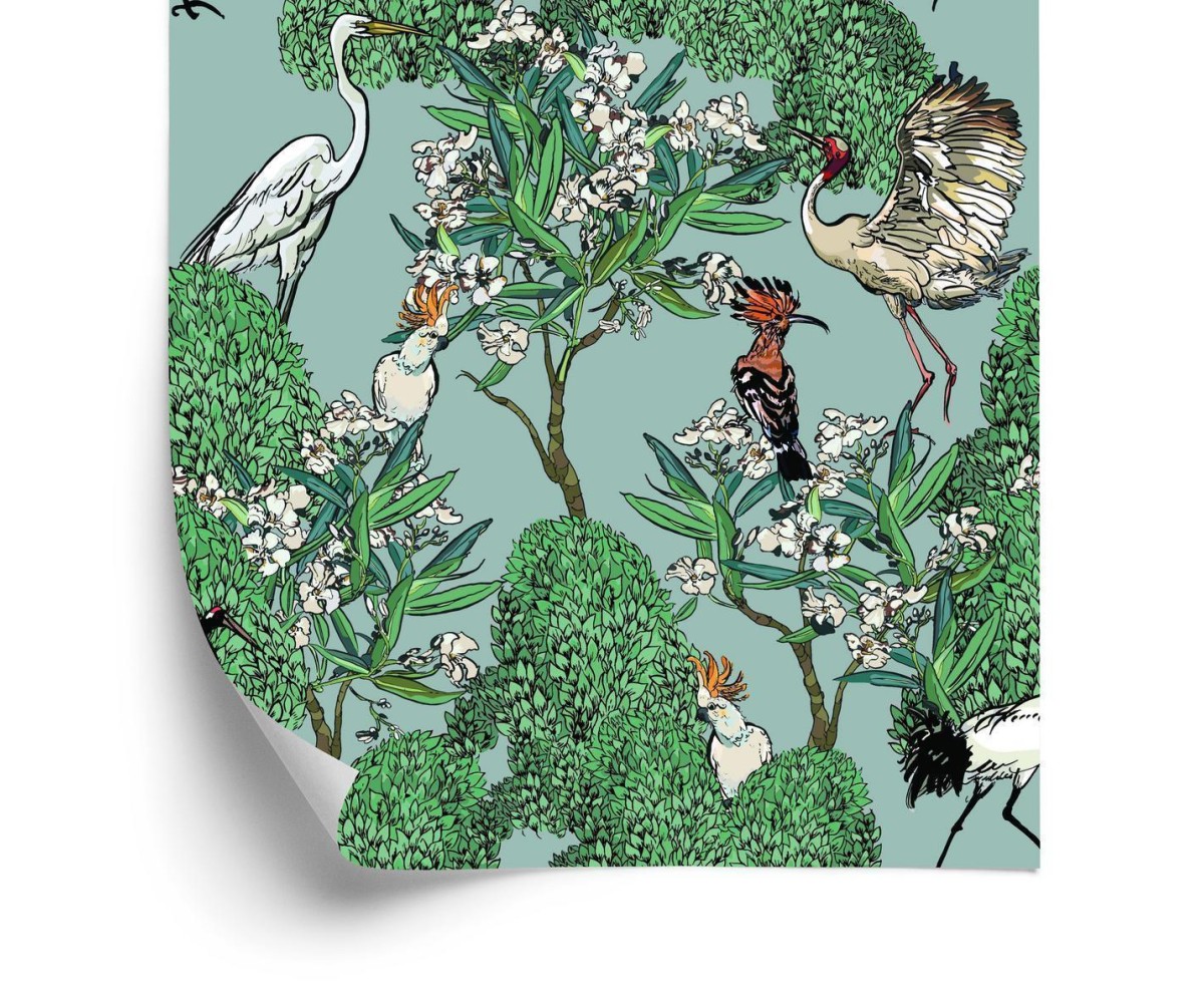 Tapete Schöne Vögel Und Bäume