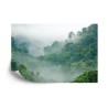 Fototapete Rainforest Morning Fog