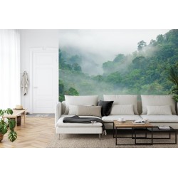 Fototapete Rainforest Morning Fog