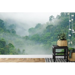 Fototapete Rainforest Morning Fog