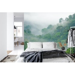 Fototapete Rainforest Morning Fog