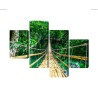 Mehrteiliges Bild Bambusbrücke Im Regenwald