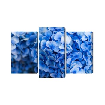 Mehrteiliges Bild Blaue Hortensienblüten Aus Nächster Nähe