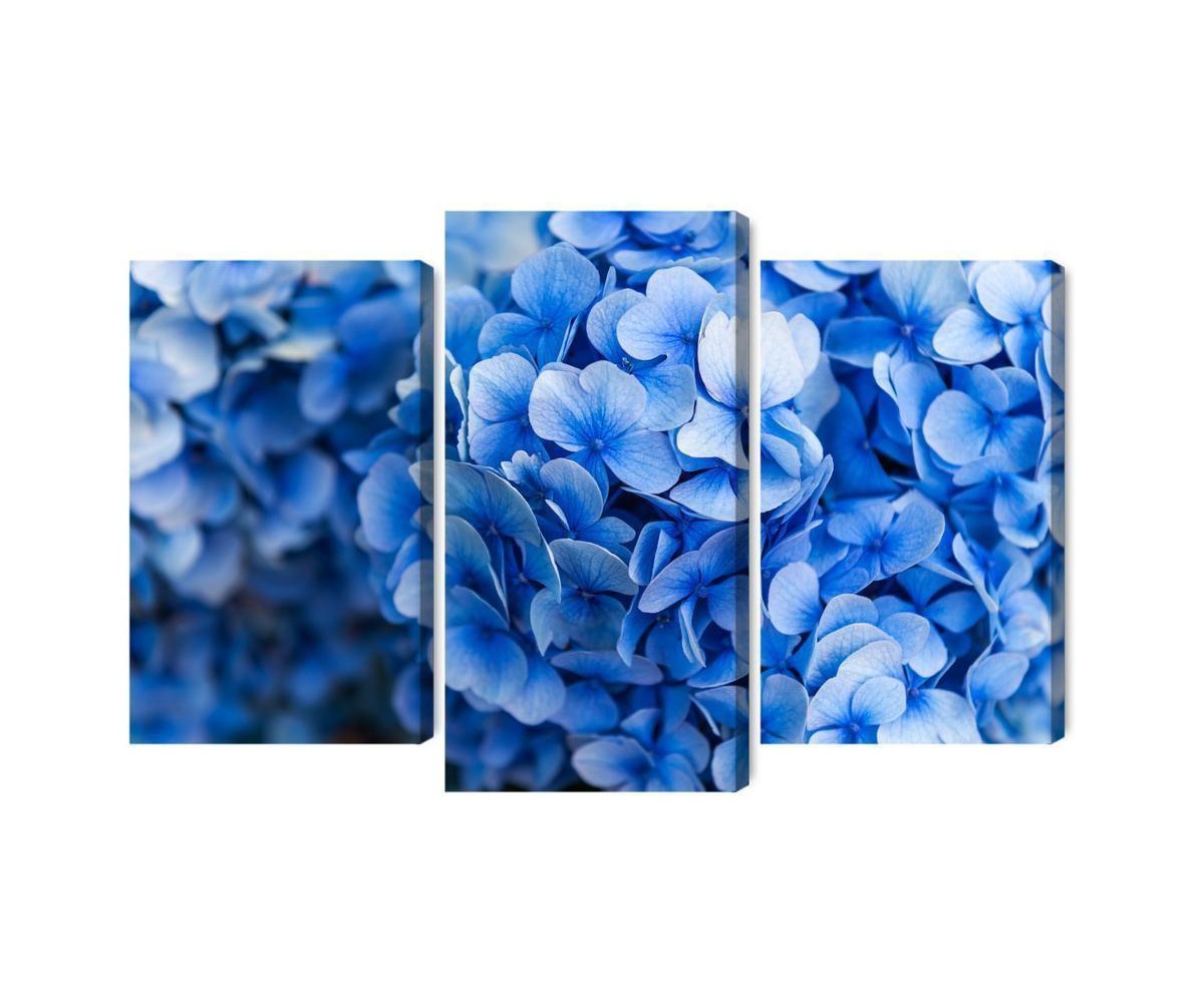 Mehrteiliges Bild Blaue Hortensienblüten Aus Nächster Nähe