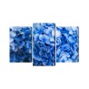 Mehrteiliges Bild Blaue Hortensienblüten Aus Nächster Nähe