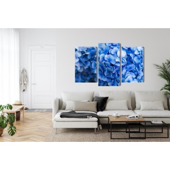 Mehrteiliges Bild Blaue Hortensienblüten Aus Nächster Nähe