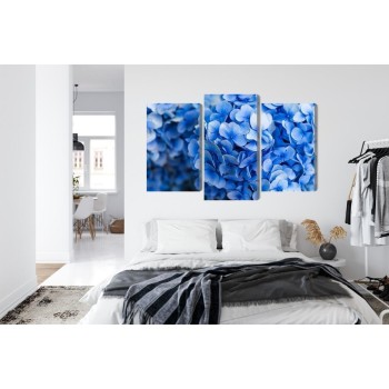 Mehrteiliges Bild Blaue Hortensienblüten Aus Nächster Nähe