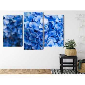 Mehrteiliges Bild Blaue Hortensienblüten Aus Nächster Nähe