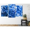 Mehrteiliges Bild Blaue Hortensienblüten Aus Nächster Nähe