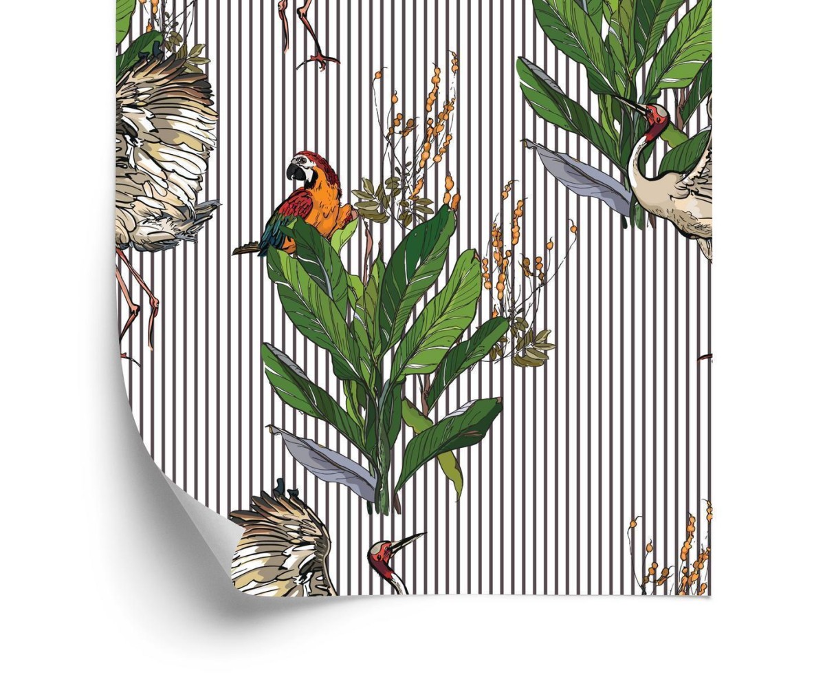 Tapete Papageien Und Kraniche