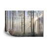 Fototapete Wald Im Nebel
