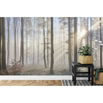 Fototapete Wald Im Nebel