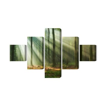 Mehrteiliges Bild Waldlandschaft Am Morgen