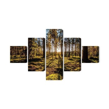 Mehrteiliges Bild Morgensonne Strahlt Im Wald