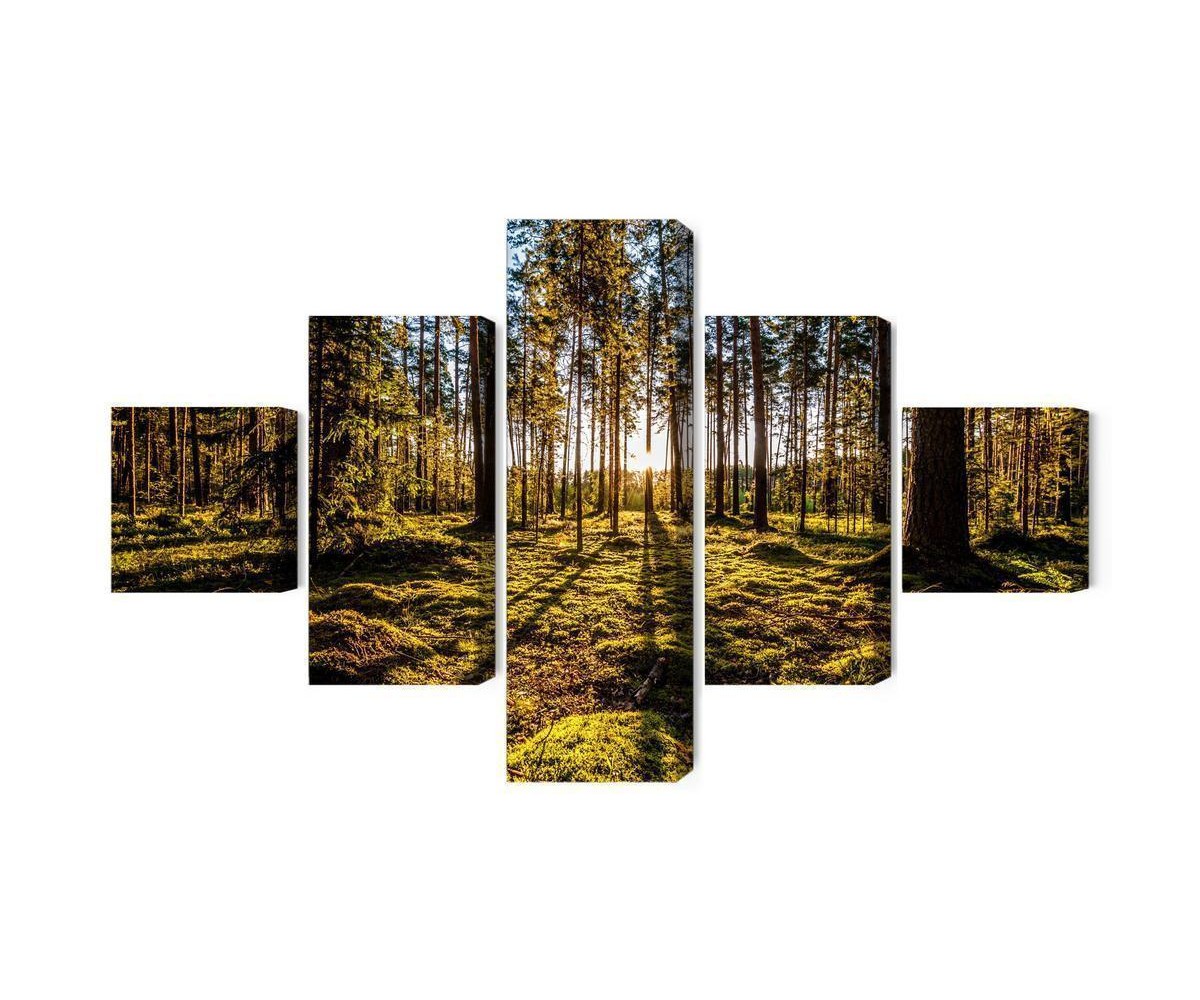 Mehrteiliges Bild Morgensonne Strahlt Im Wald