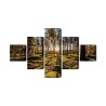 Mehrteiliges Bild Morgensonne Strahlt Im Wald