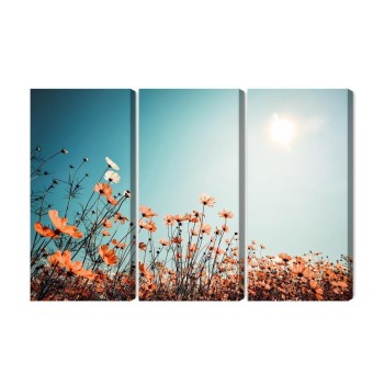 Mehrteiliges Bild Feldblumen In Der Sonne