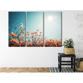 Mehrteiliges Bild Feldblumen In Der Sonne