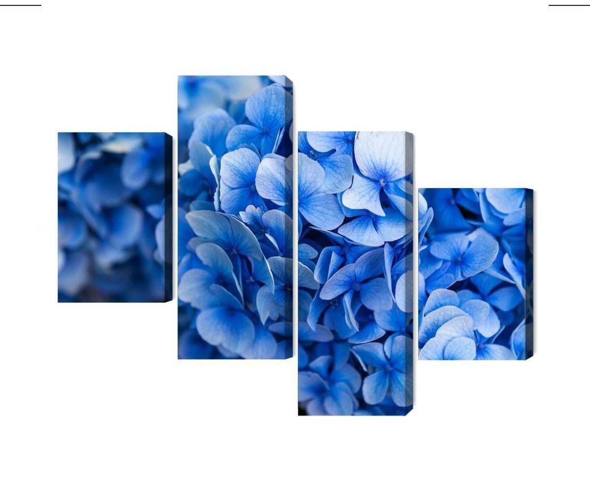 Mehrteiliges Bild Blaue Hortensienblüten Aus Nächster Nähe