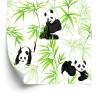 Tapete Pandas Und Pflanzen