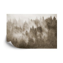 Fototapete Wald Im Nebel Texturiert In Sepia