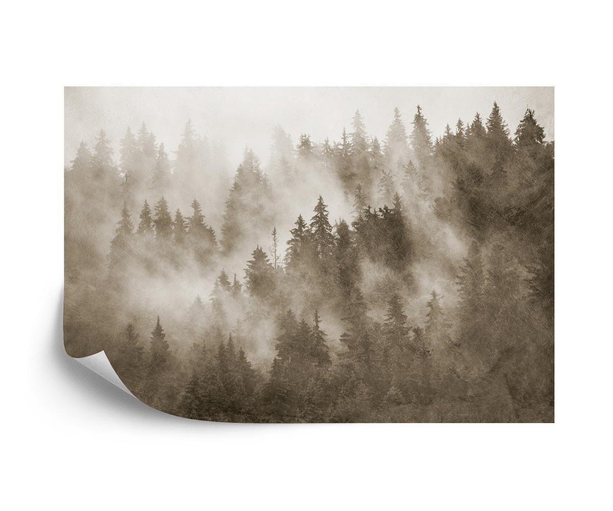 Fototapete Wald Im Nebel Texturiert In Sepia