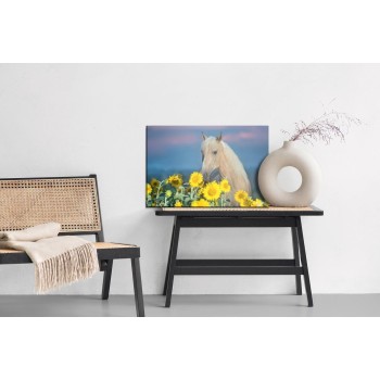 Leinwandbild Pferd Und Sonnenblumen