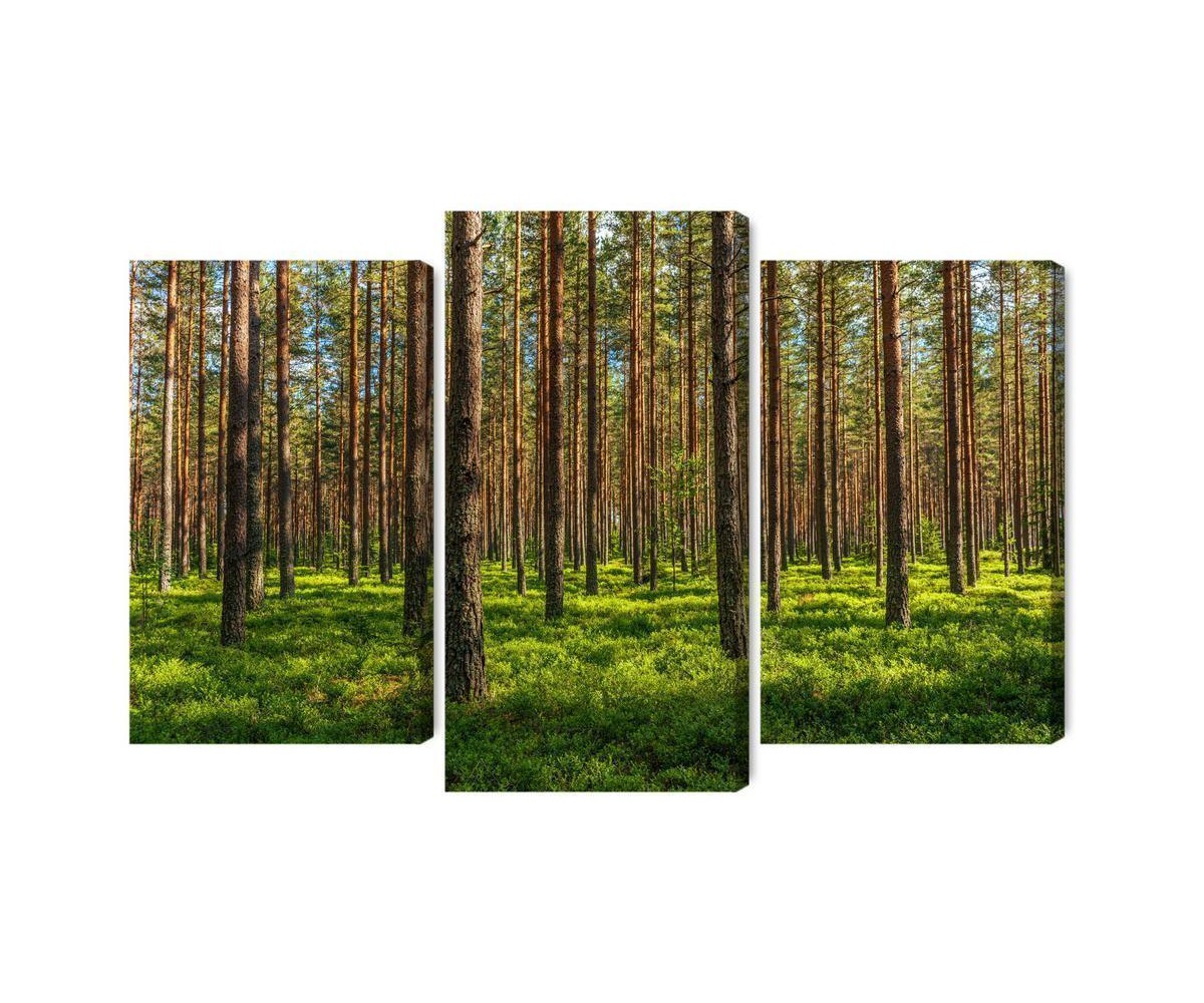 Mehrteiliges Bild 3D-Kiefernwald