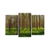 Mehrteiliges Bild 3D-Kiefernwald